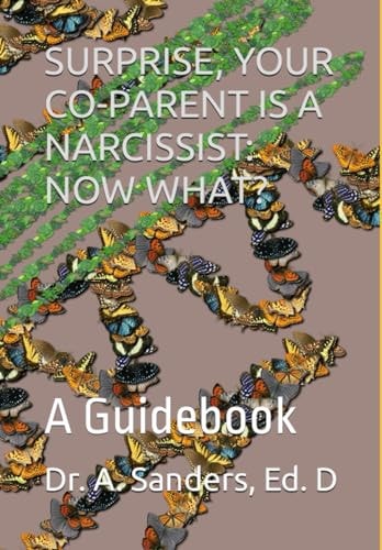 Surprise, Your Co-Parent Is a Narcissist NOW WHAT?: A Guidebook