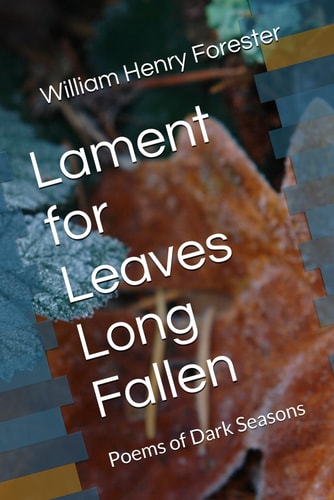 Lament for Leaves Long Fallen Poems of Dark Seasons