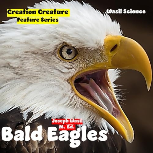 Creation Creature Features Bald Eagles!