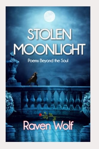 Stolen Moonlight Poems Beyond the Soul