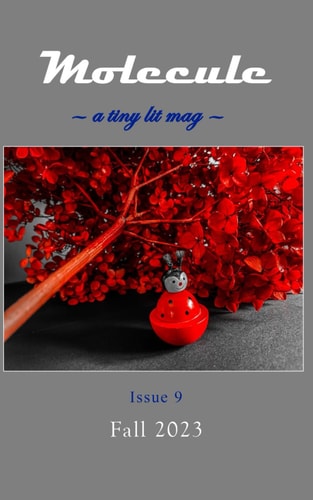 Molecule A Tiny Lit Mag #9: Fall 2023