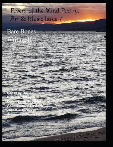 Fevers of the Mind Poetry, Art & Music Issue 7 Bare Bones Writing II