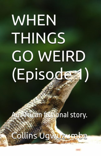 WHEN THINGS GO WEIRD (Episode 1) An African Fictional Story.