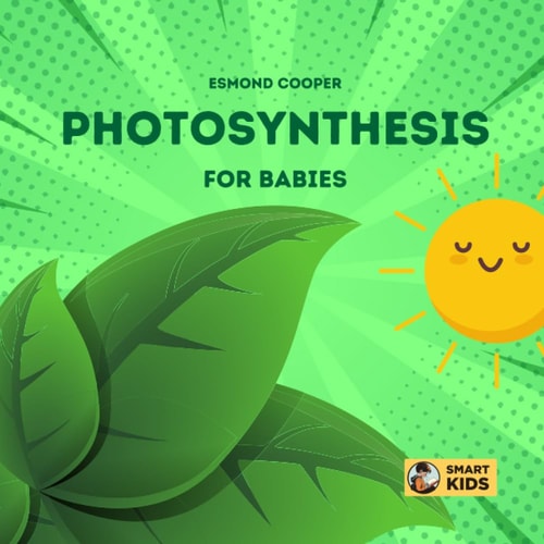 Photosynthesis for Babies How Plants Make Food!