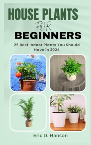 House Plants for Beginners 25 Best Indoor Plants You Should Have in 2024