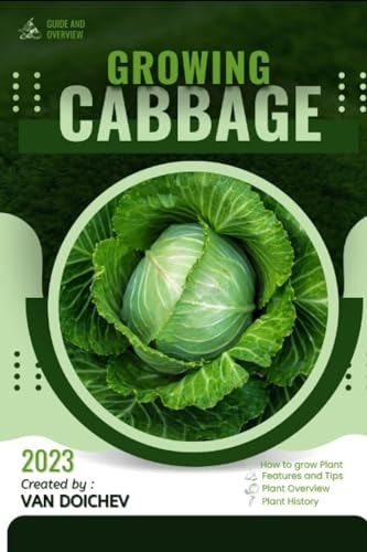 Cabbage Guide and Overview