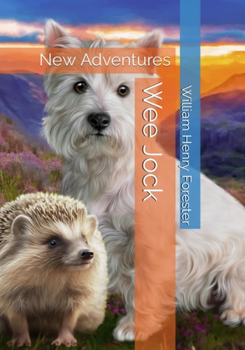 Wee Jock New Adventures