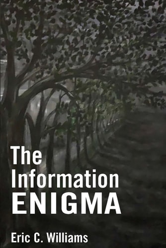 The Information Enigma