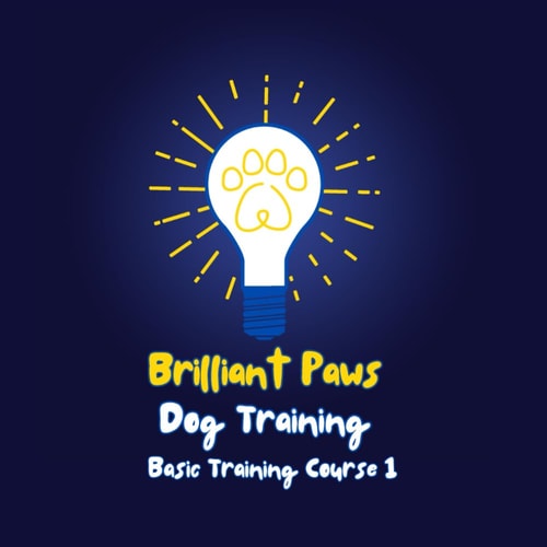 Brilliant Paws Dog Training Basic Training Course 1 An Easy to Understand Basic Dog Training Course