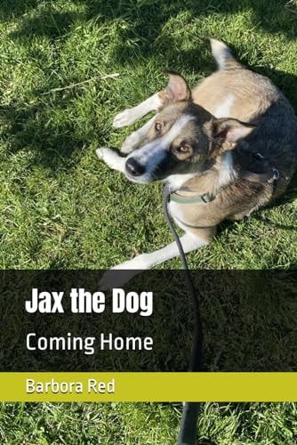 Jax the Dog Coming Home
