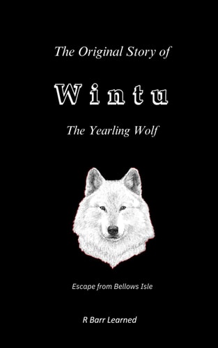 The Original Story of Wintu, the Yearling Wolf Escape from Bellows Isle