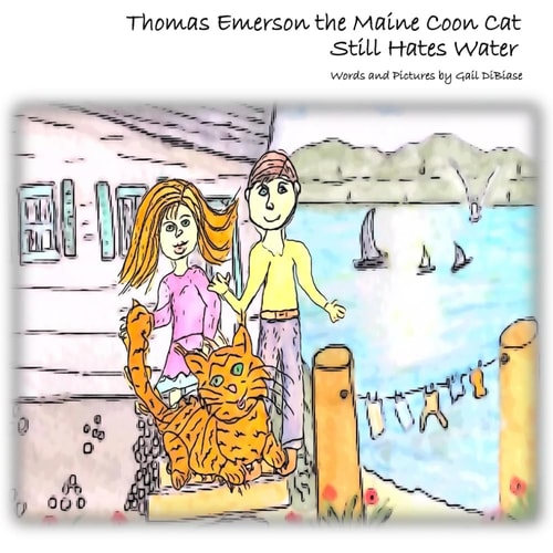 Thomas Emerson the Maine Coon Cat Stil Hates Water