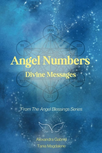 The Angel Blessings Series Angel Numbers
