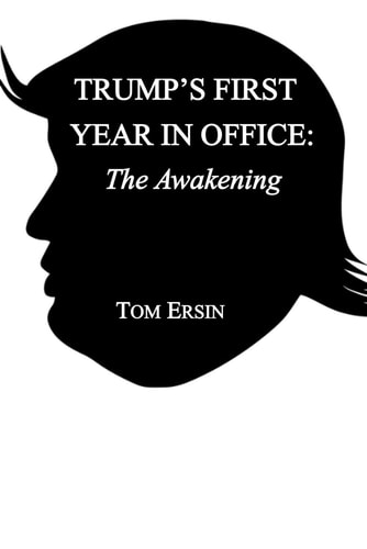 Trump's First Year in Office The Awakening
