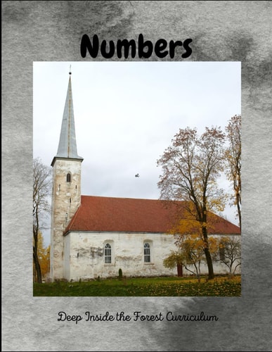 The Book of Numbers Deep Inside the Forest Curriculum