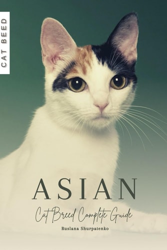 Asian Cat Breed Complete Guide