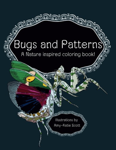 Bugs and Patterns A Nature Inispired Coloring Book!