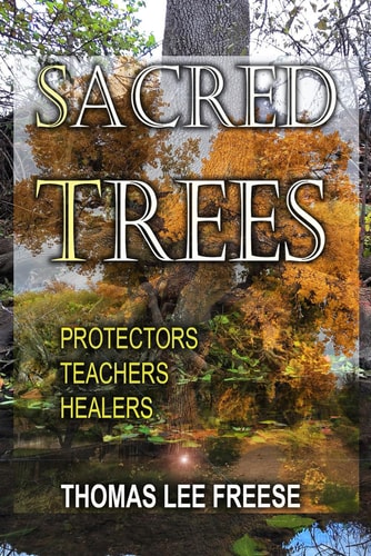 Sacred Trees Protectors, Healers, Teachers