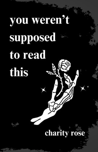 You Weren't Supposed to Read this