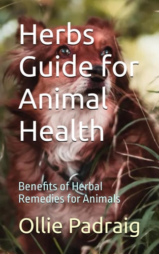 Herbs Guide for Animal Health Benefits of Herbal Remedies for Animals