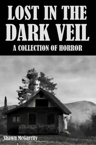 Lost in the Dark Veil
