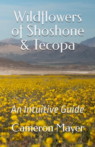 Wildflowers of Shoshone & Tecopa An Intuitive Guide