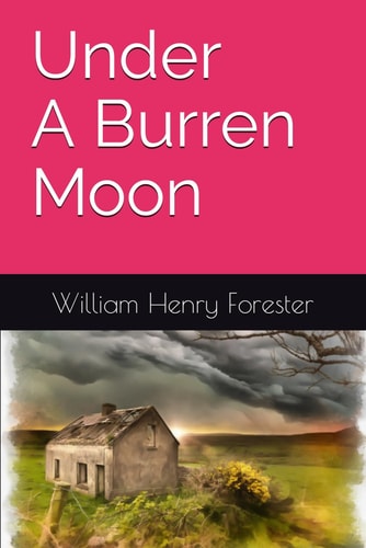 Under a Burren Moon