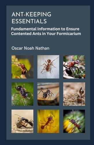 Ant-keeping Essentials Fundamental Information to Ensure Contented Ants in Your Formicarium