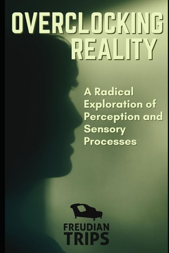Overclocking Reality A Radical Exploration of Perception and Sensory Processes