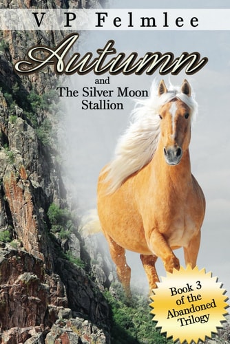 Autumn and The Silver Moon Stallion