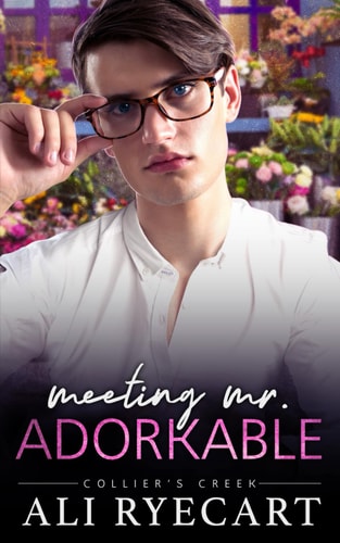 Meeting Mr. Adorkable MM Small Town Romance (Collier's Creek)