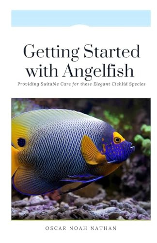 Getting Started with Angelfish - Providing Suitable Care for These Elegant Cichlid Species