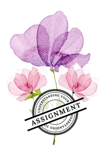 UNDERSTANDING YOUR ASSIGNMENT.