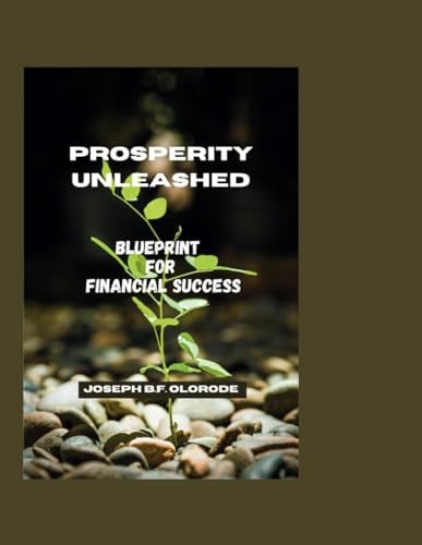 Prosperity Unleashed Blueprint for Financial Success