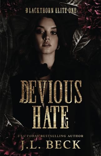 Devious Hate A Dark Bully Romance