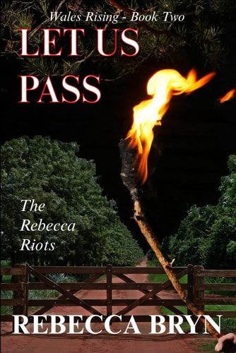 Let Us Pass The Rebecca Riots