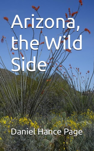 Arizona, the Wild Side
