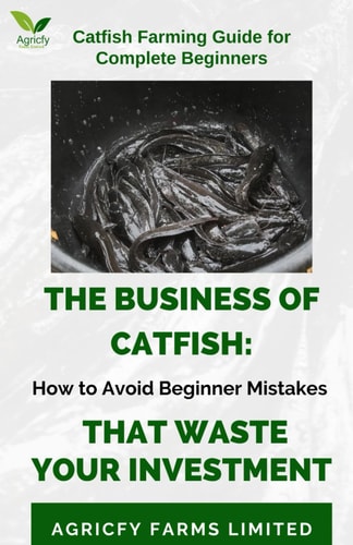 The Business of Catfish How To Avoid Beginner's Mistake That Wastes Your Investment