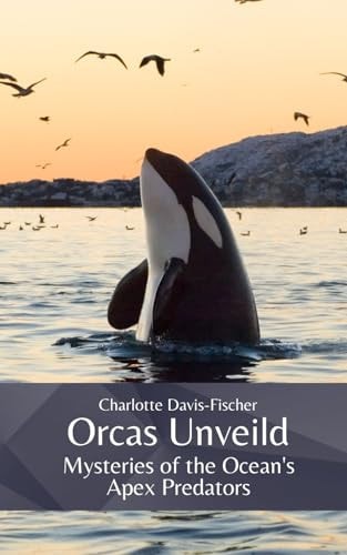 Orcas Unveiled Mysteries of the Ocean's Apex Predators
