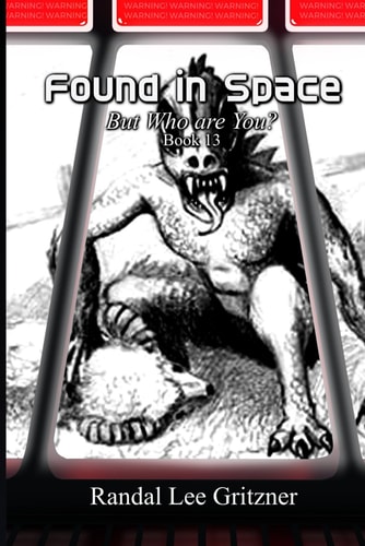 Found in Space, But Who Are You? Book 13