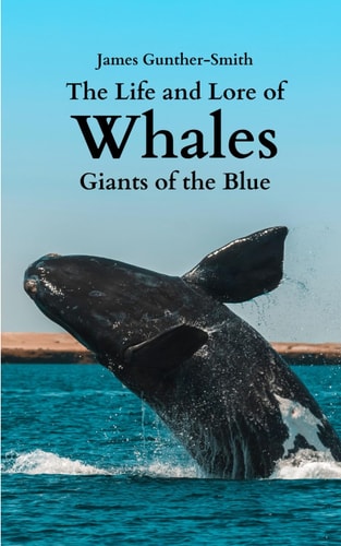 The Life and Lore of Whales Giants of the Blue