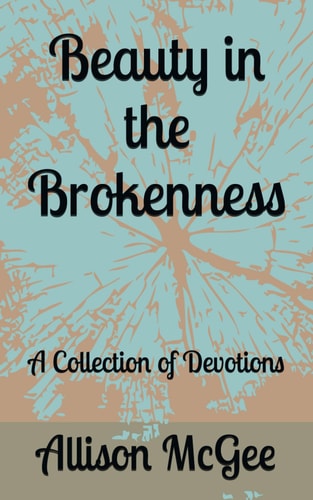 Beauty in the Brokenness A Collection of Devotions