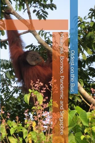 Malaysia, Borneo, Pandemic and Singapore