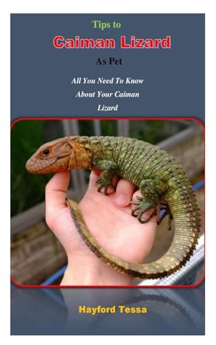 Tips to Caiman Lizard as Pet All You Need To Know About Your Caiman Lizard