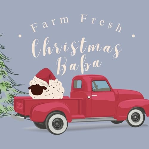 Christmas Baba Seek & Find Little Baba Christmas Book For Babies & Toddlers Ages 0-3
