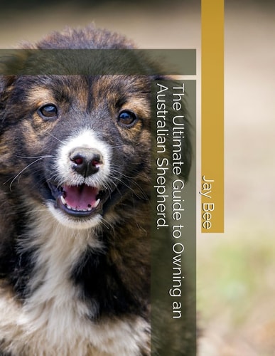 The Ultimate Guide to Owning an Australian Shepherd.