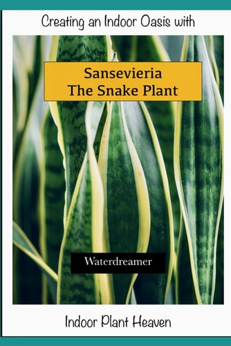 Creating an Indoor Oasis with Sansevieria Snake Plant Snake Plant Book