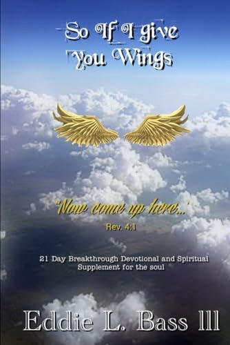 So If I Give You Wings