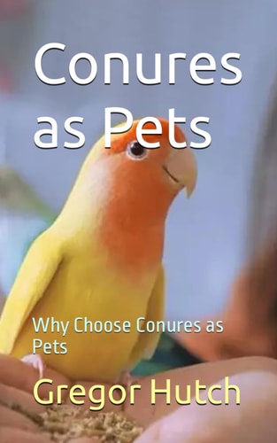 Conures as Pets Why Choose Conures as Pets