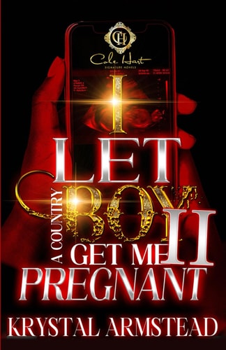 I Let A Country Boy Get Me Pregnant 2 An African American Romance
